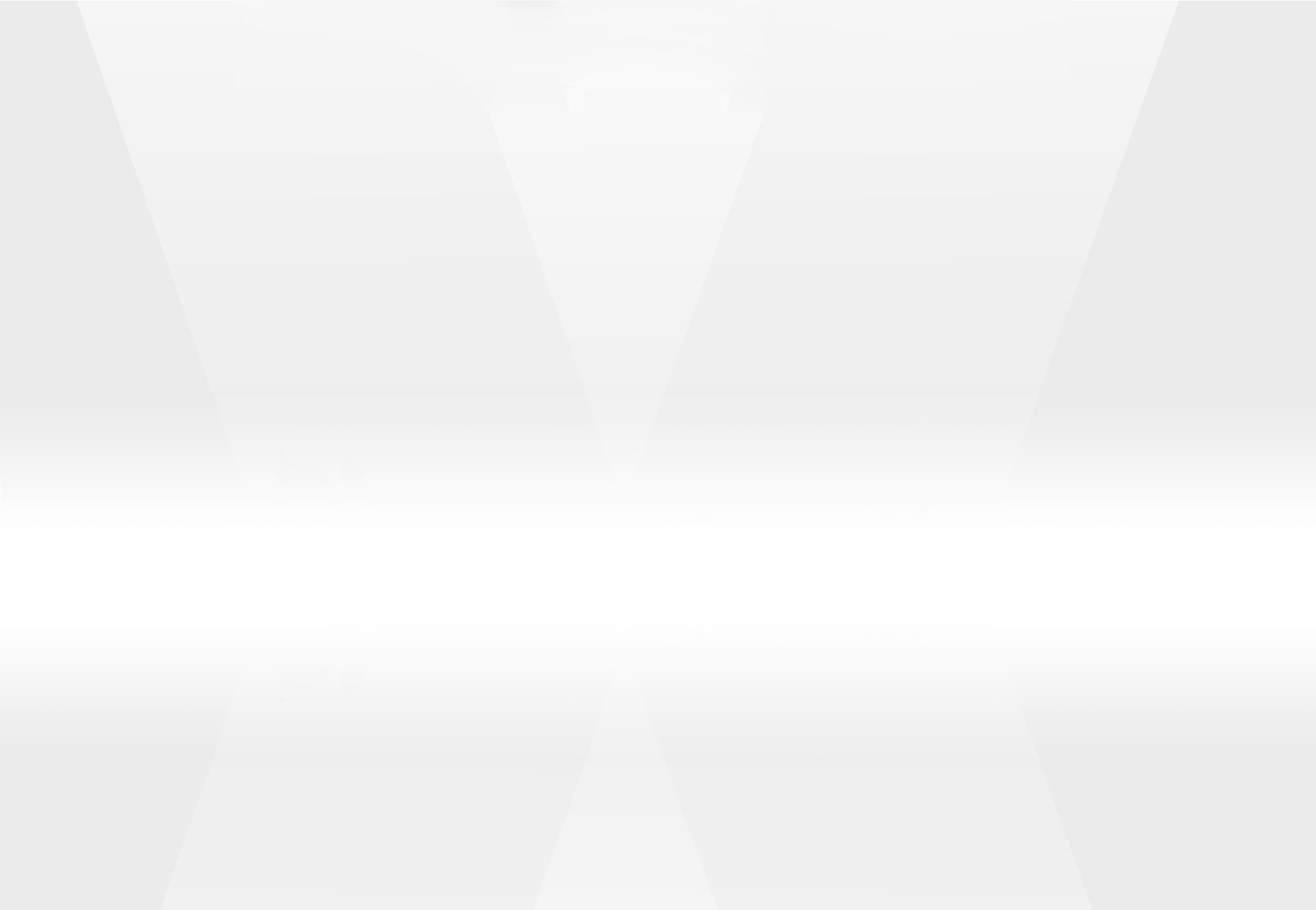 山東泰安東岳泰山衡器有限公司